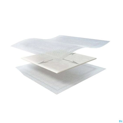 Kerramax Care 20x50 cm 10 unità