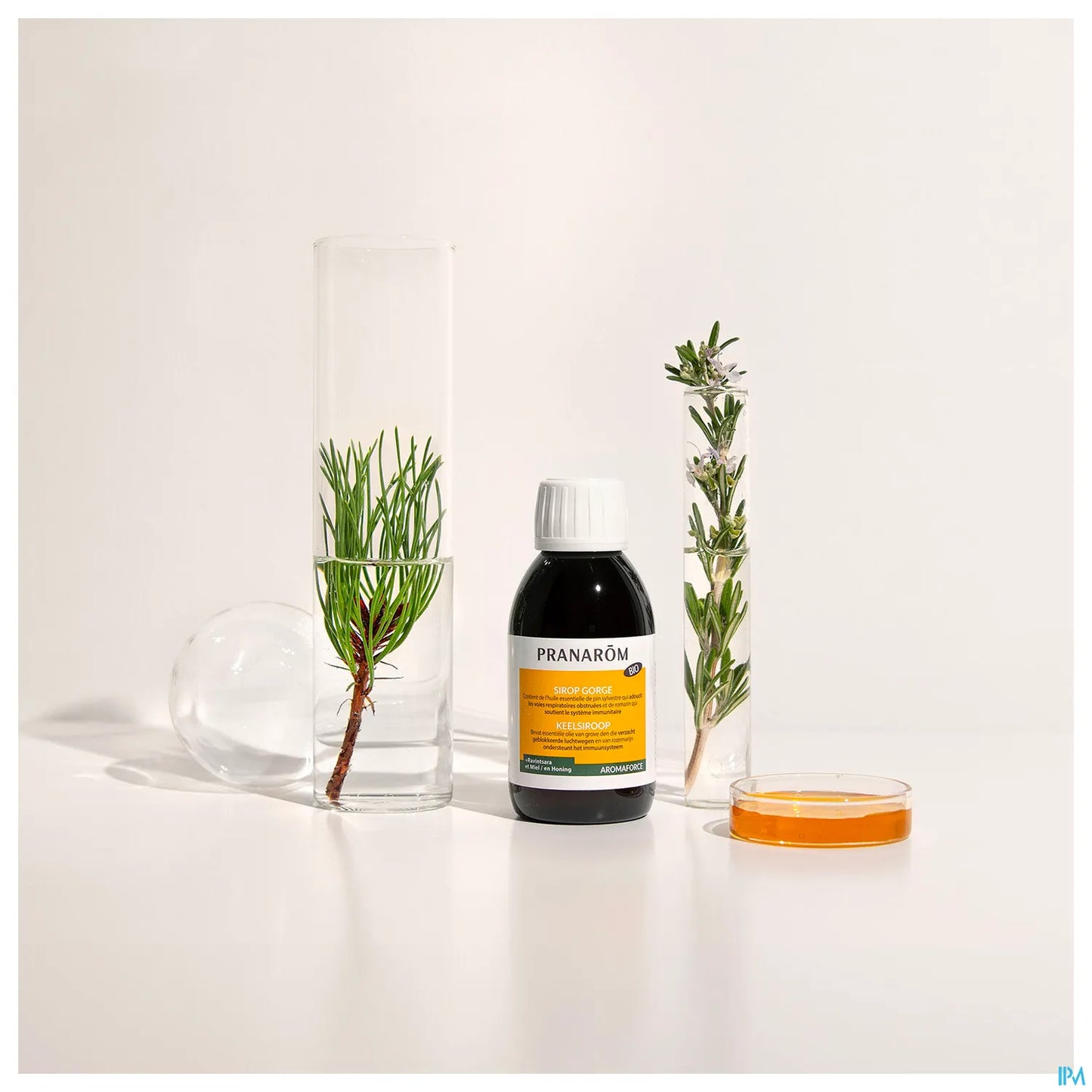 Aromaforce Sirop Gorge 150 mL