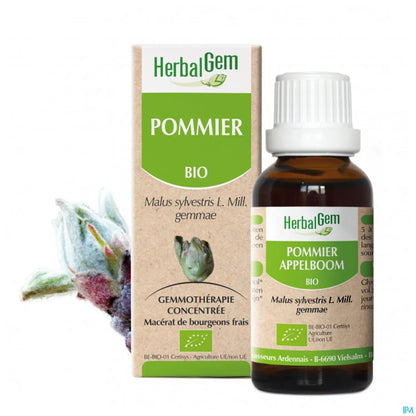 Macérat Mère Pommier Bio 30 mL