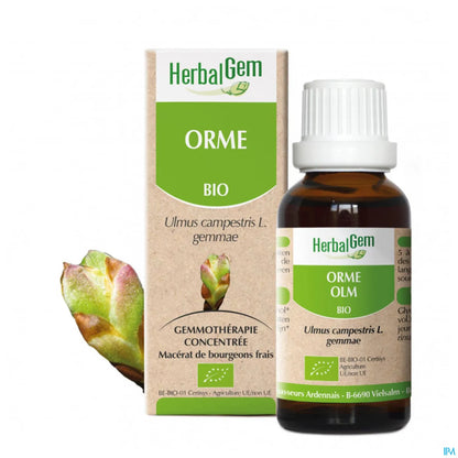 Orme Bio Macérat Mère 30 mL