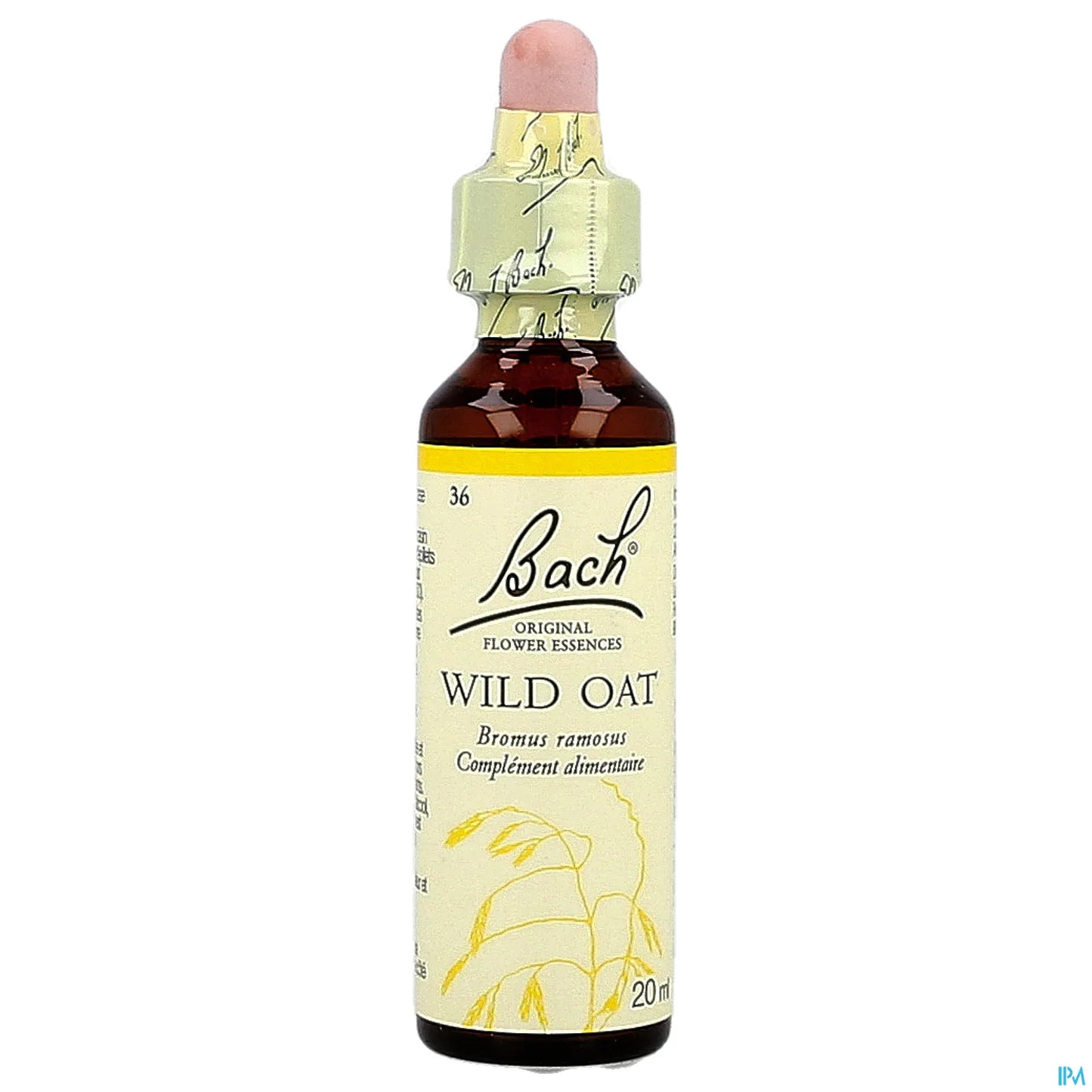 Wild Oat - 20 ml
