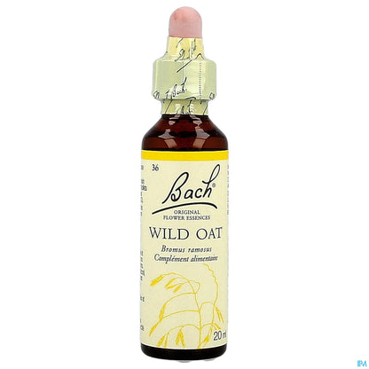 Wild Oat - 20 ml