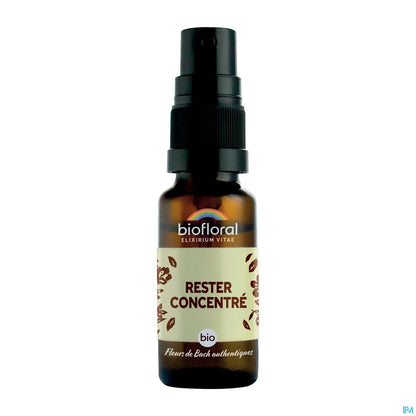 Stay Focused Spray 20 mL