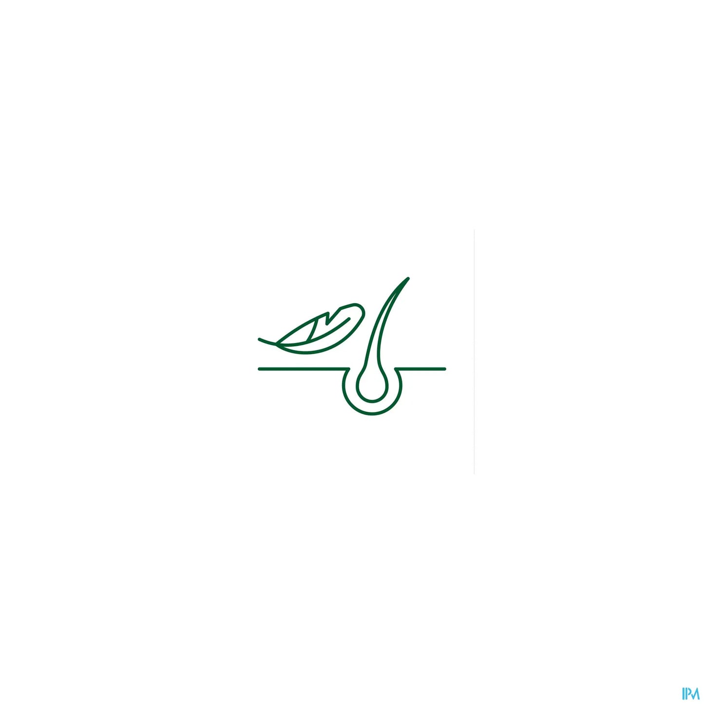 Traitement Antipelliculaire Anti Démangeaisons Galanga Lotion 100 ml