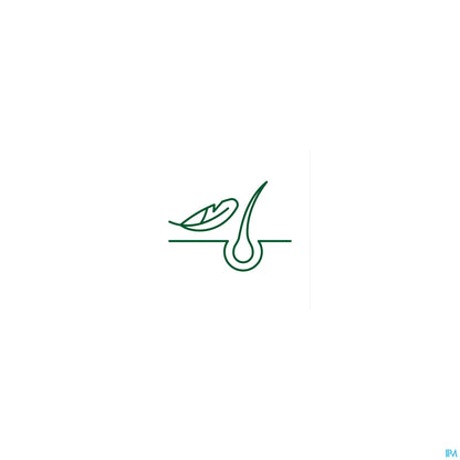 Traitement Antipelliculaire Anti Démangeaisons Galanga Lotion 100 ml