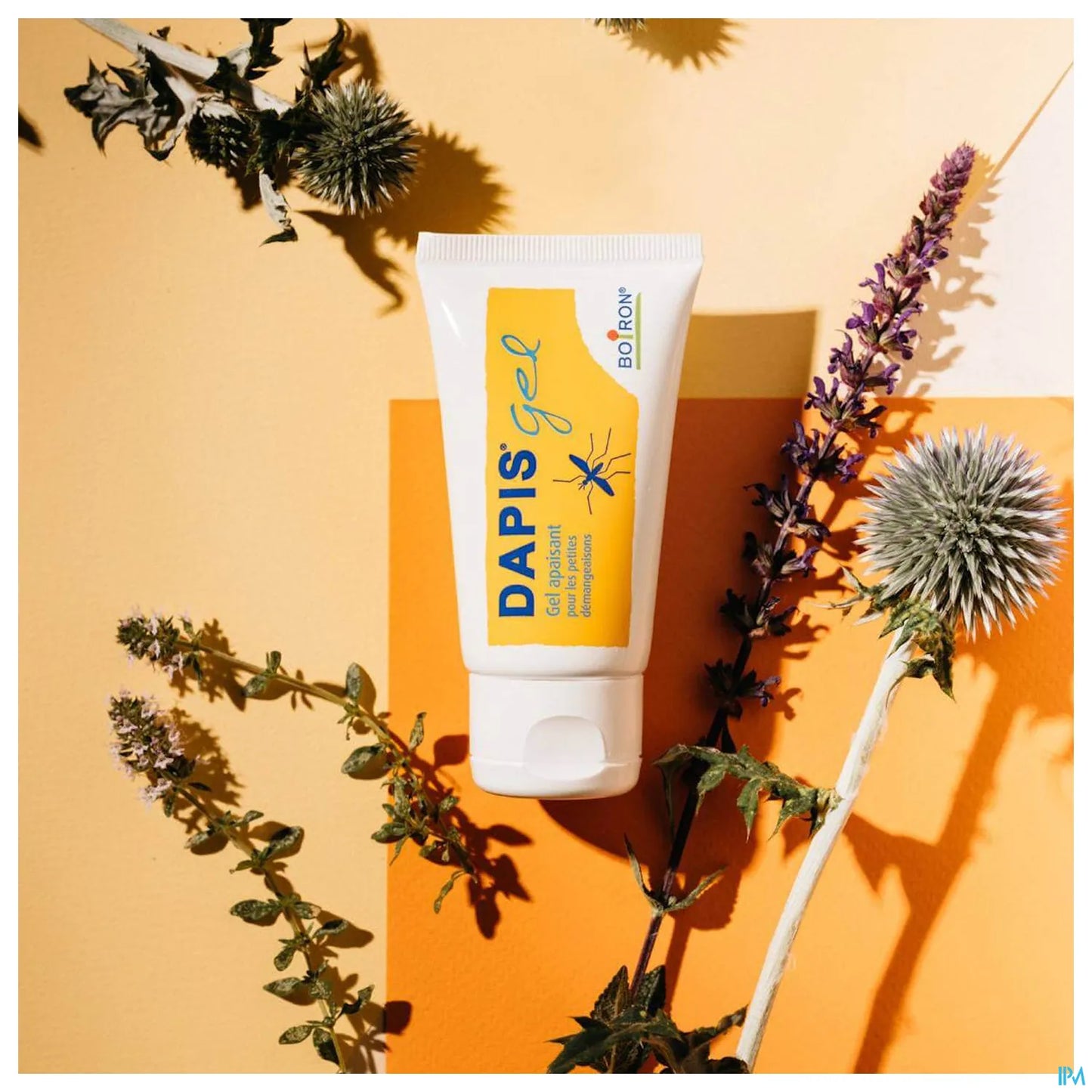 Dapis Gel Apaisant 40g