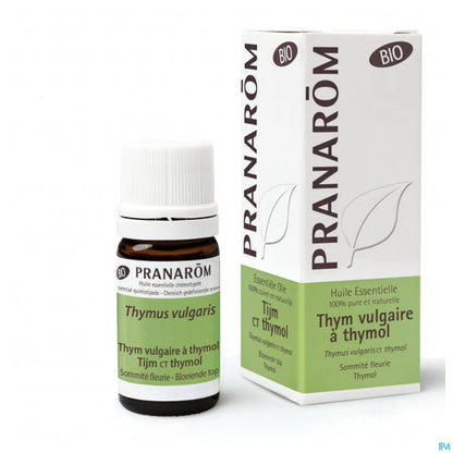 Huile Essentielle de Thym Thymol Bio 5ml