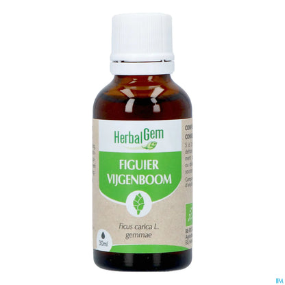 Macerato di madre di fico biologico 30 ml