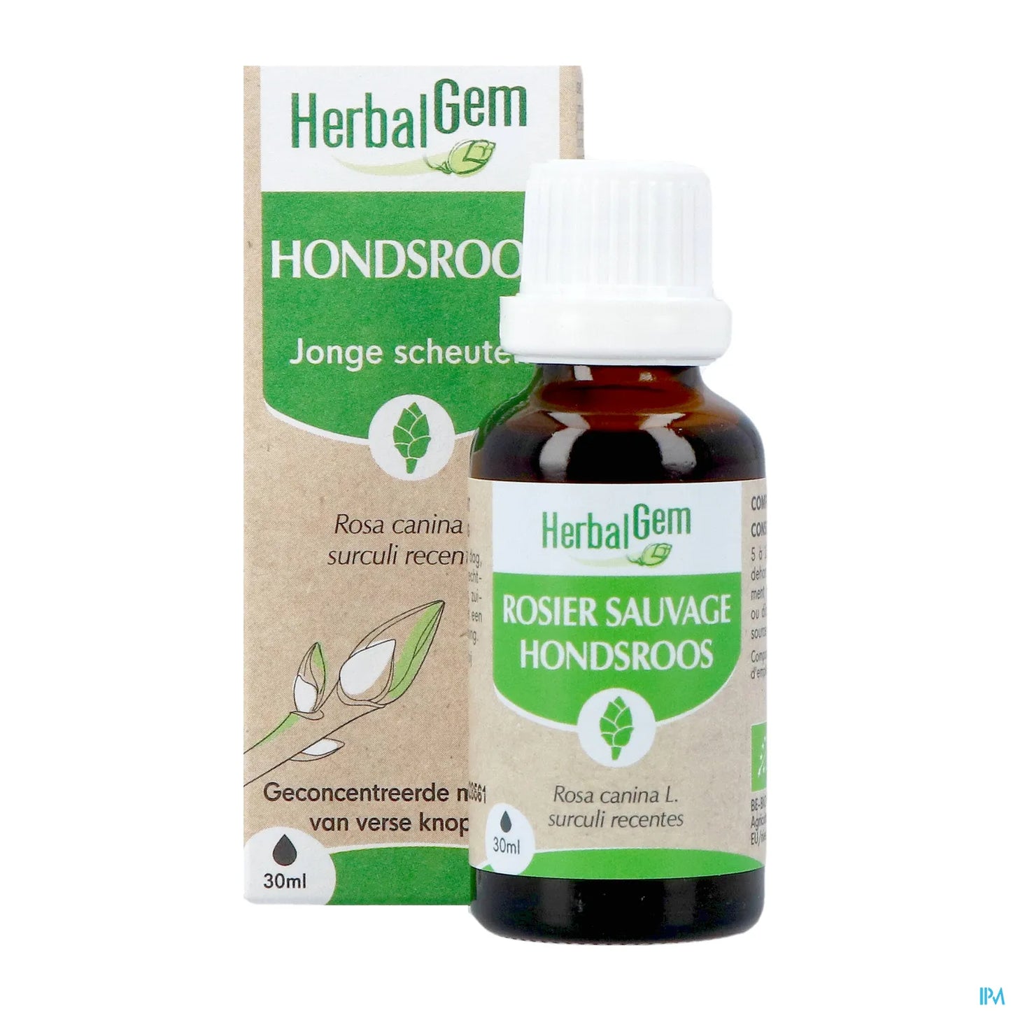 Macérât Mère Rosier Sauvage Bio 30 mL