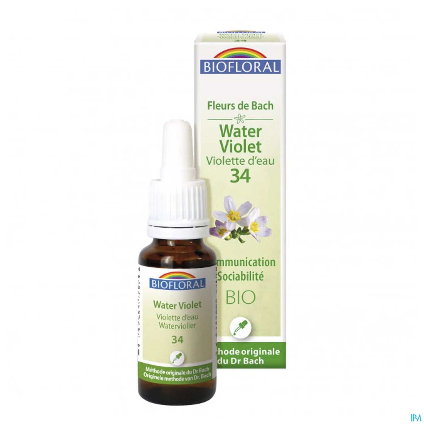 Water Violet 20 mL