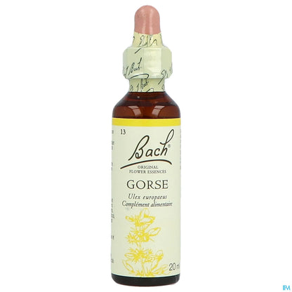 Gorse originale 20ml