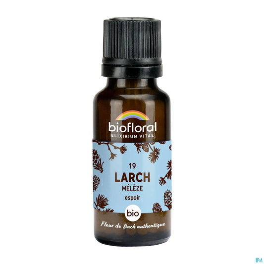 Larch Granules 19.5 g