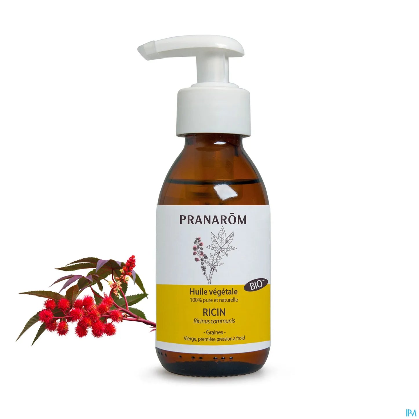 Huile Végétale Ricin Bio 100 mL