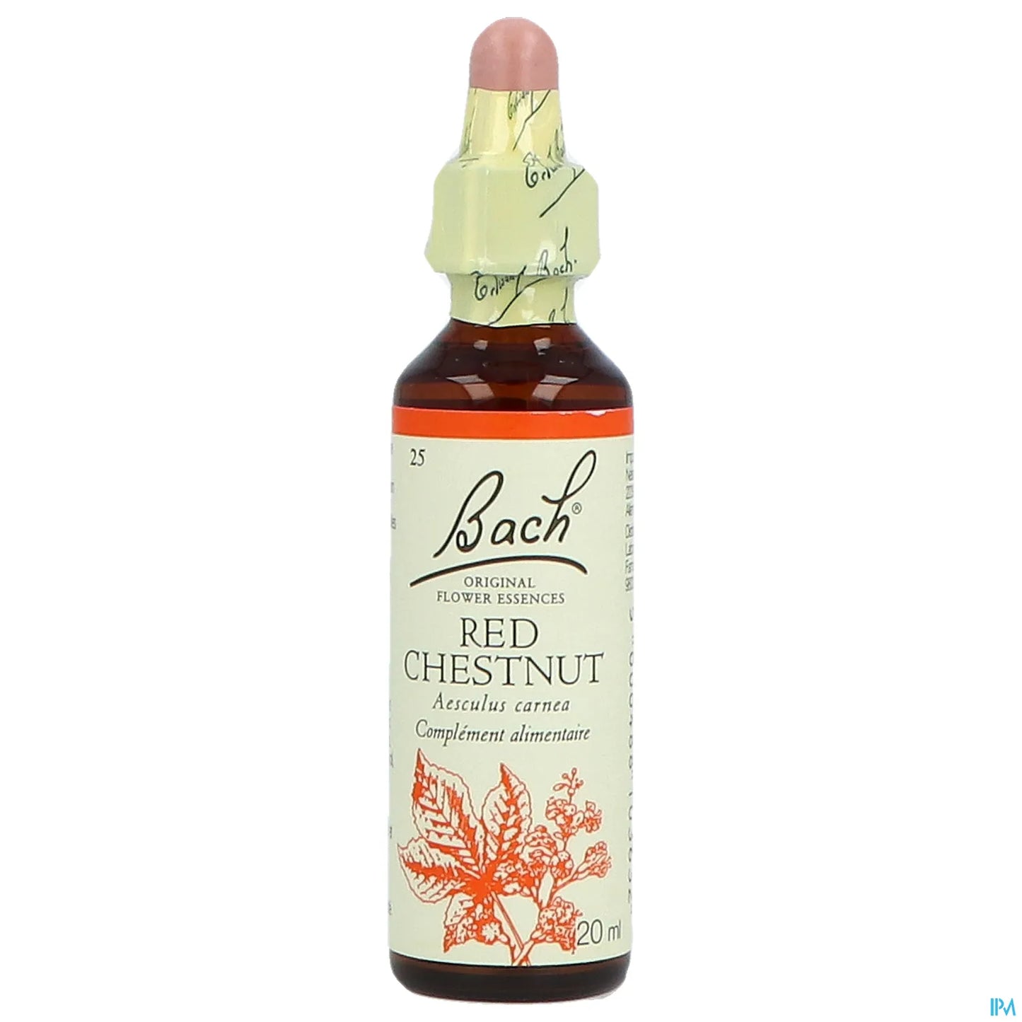 Red Chestnut (Marronnier Rouge) 20ML
