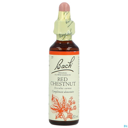 Red Chestnut (Marronnier Rouge) 20ML