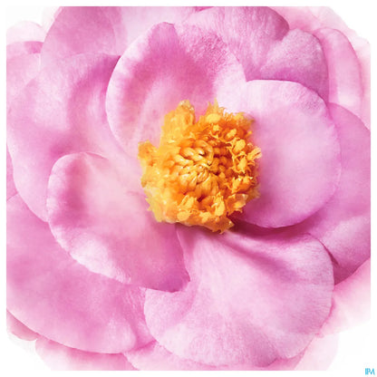 Hair Prodigieux La Crème Sans Rinçage Traitement Protecteur 100ml