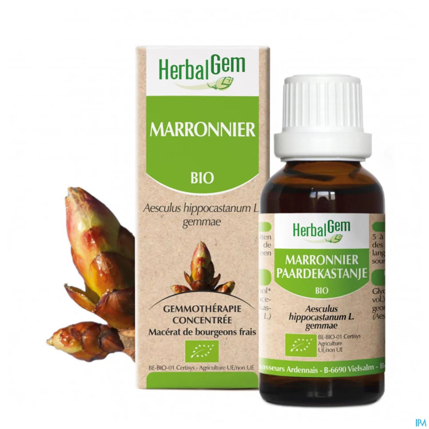 Marronnier Bourgeon Bio 30 mL