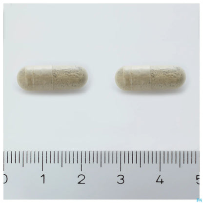 Arkogélules Bacopa Boîte de 45 Gélules