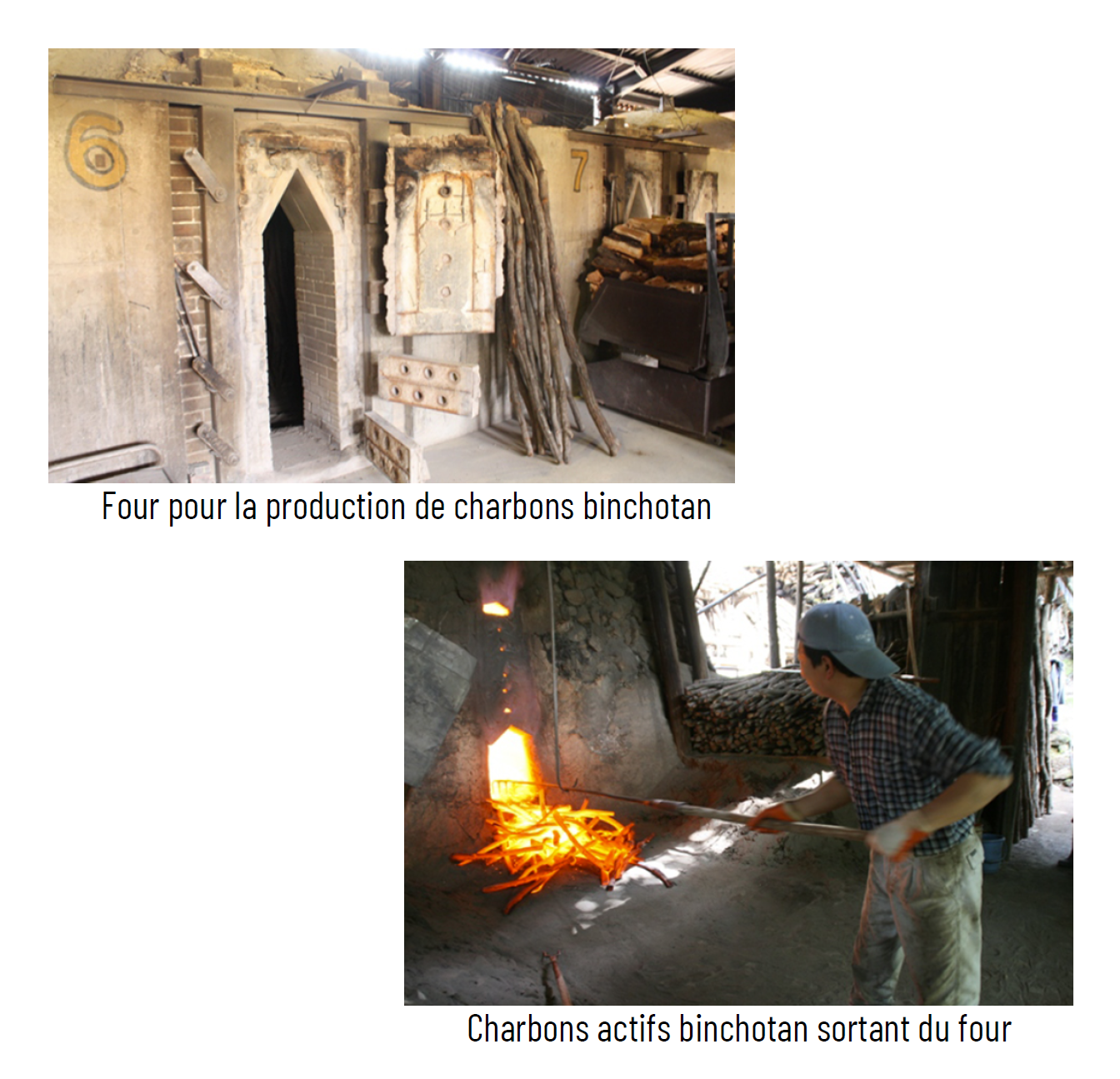 Le Binchotan de Kishu (Charbon actif)