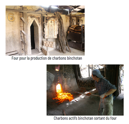 Le Binchotan de Kishu (Charbon actif)