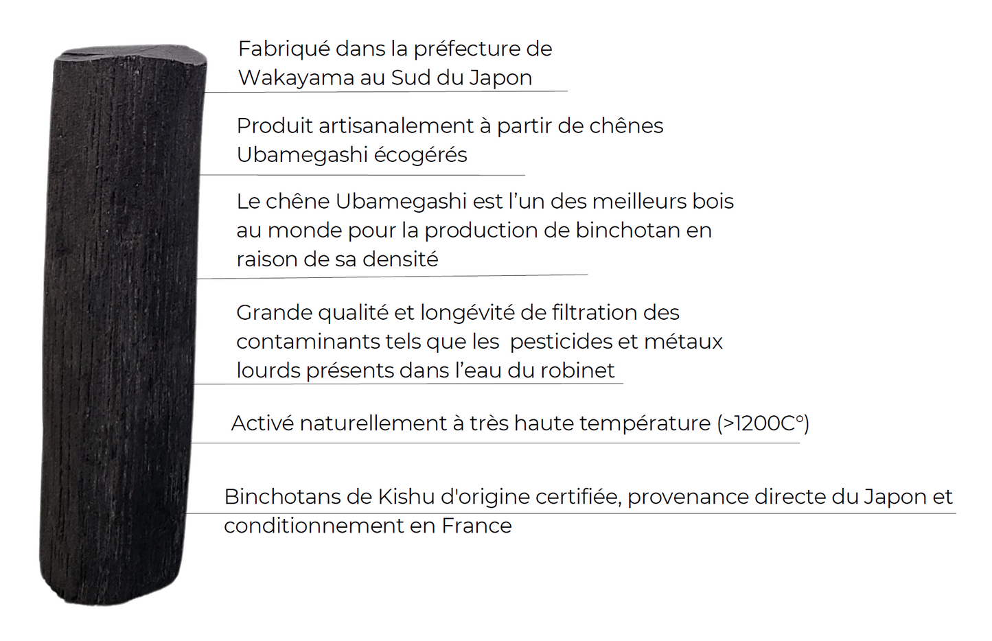 Le Binchotan de Kishu (Charbon actif)