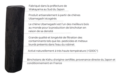 Le Binchotan de Kishu (Charbon actif)