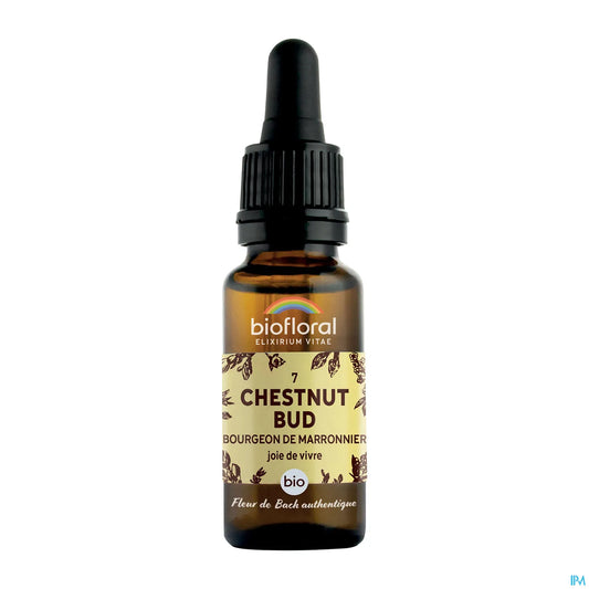 Chestnut Bud Bourgeons de Marronnier 20 mL