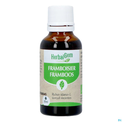 Macérât Mère Framboisier 30 mL Bio