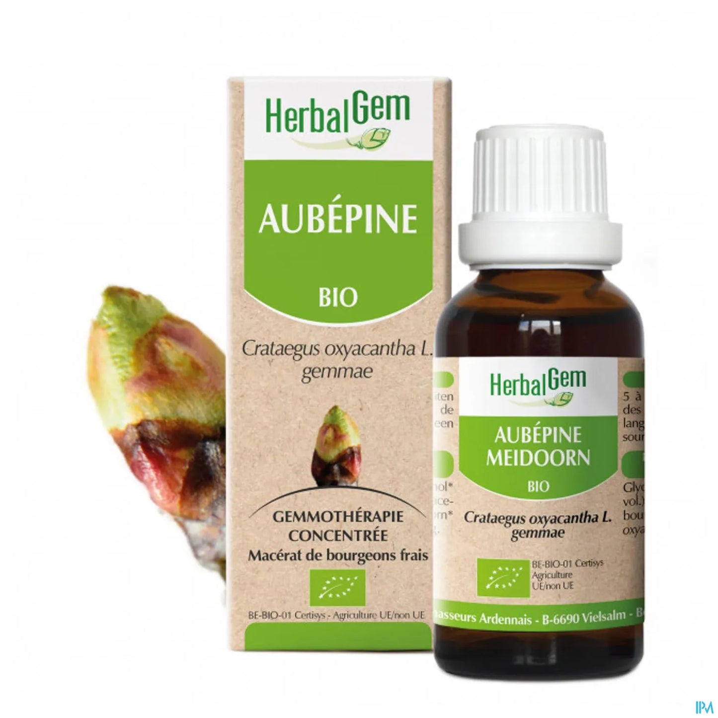 Macerato di glicerina di biancospino 30 ml