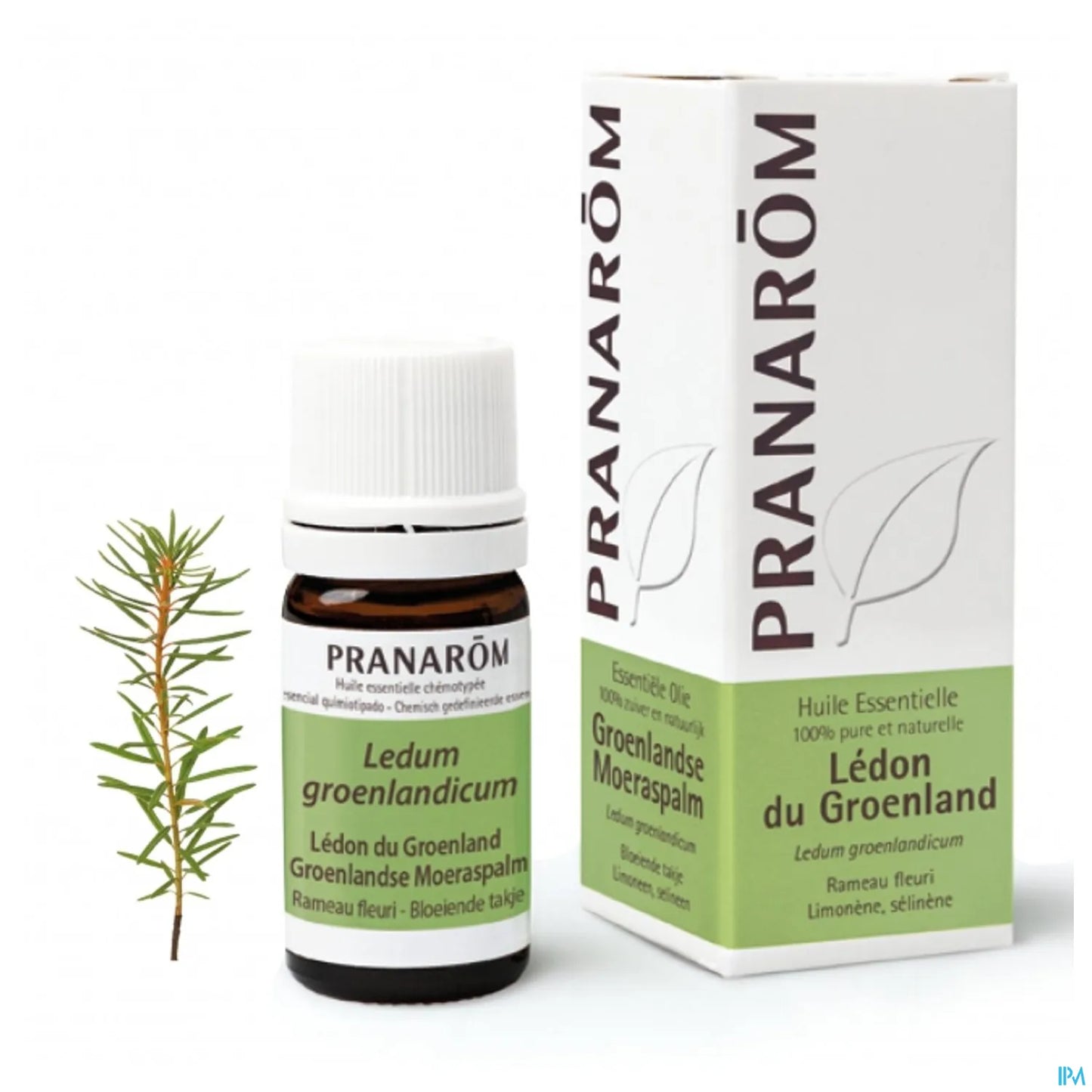 Ledon Greenland Essential Oil 5 mL