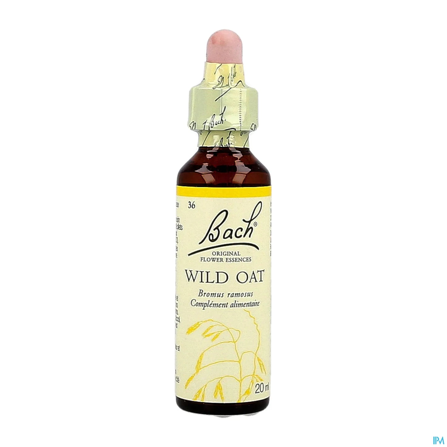 Wild Oat - 20 ml