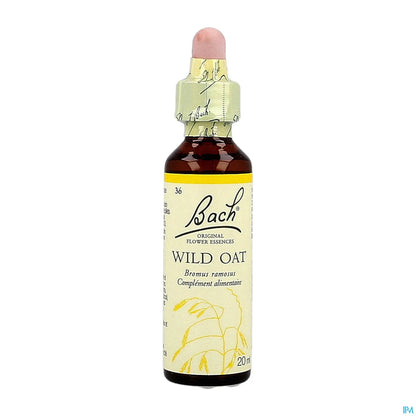 Wild Oat - 20 ml