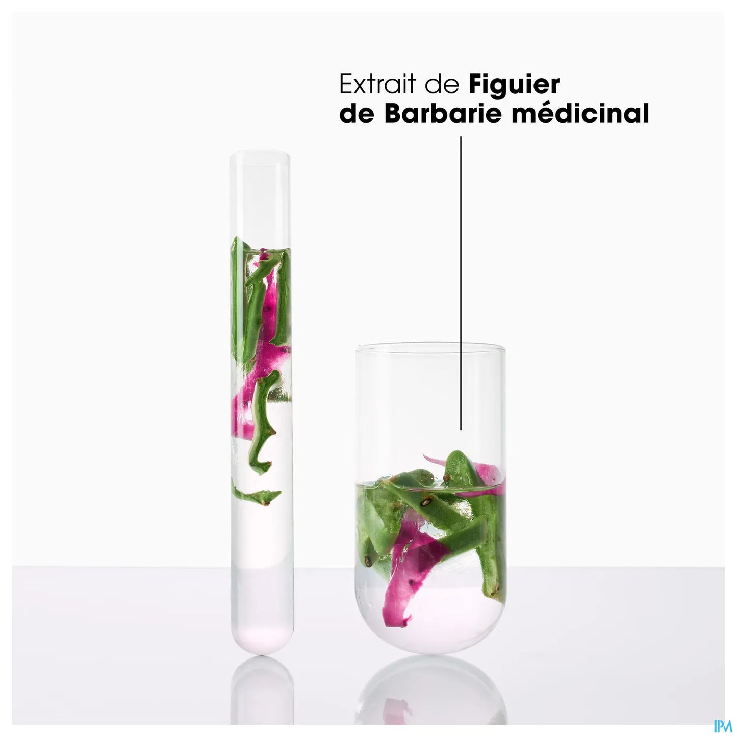 Hydration & Shine - Masque Repulpant à la Figue de Barbarie 250 ml