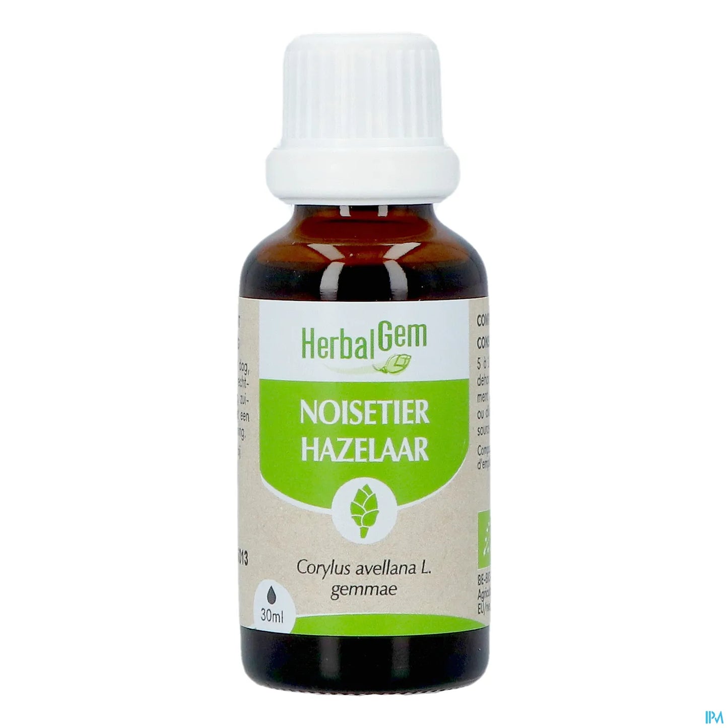 Macérât de Bourgeons Noisetier Bio 30 mL