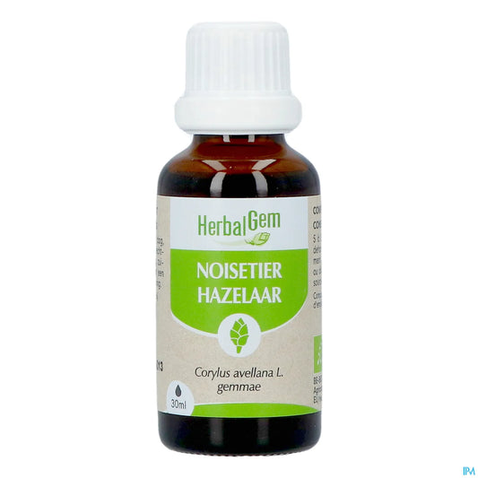 Macérât de Bourgeons Noisetier Bio 30 mL
