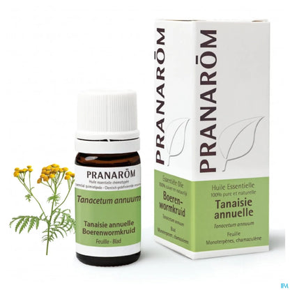 Huile Essentielle Tanaisie Annuelle 5 mL
