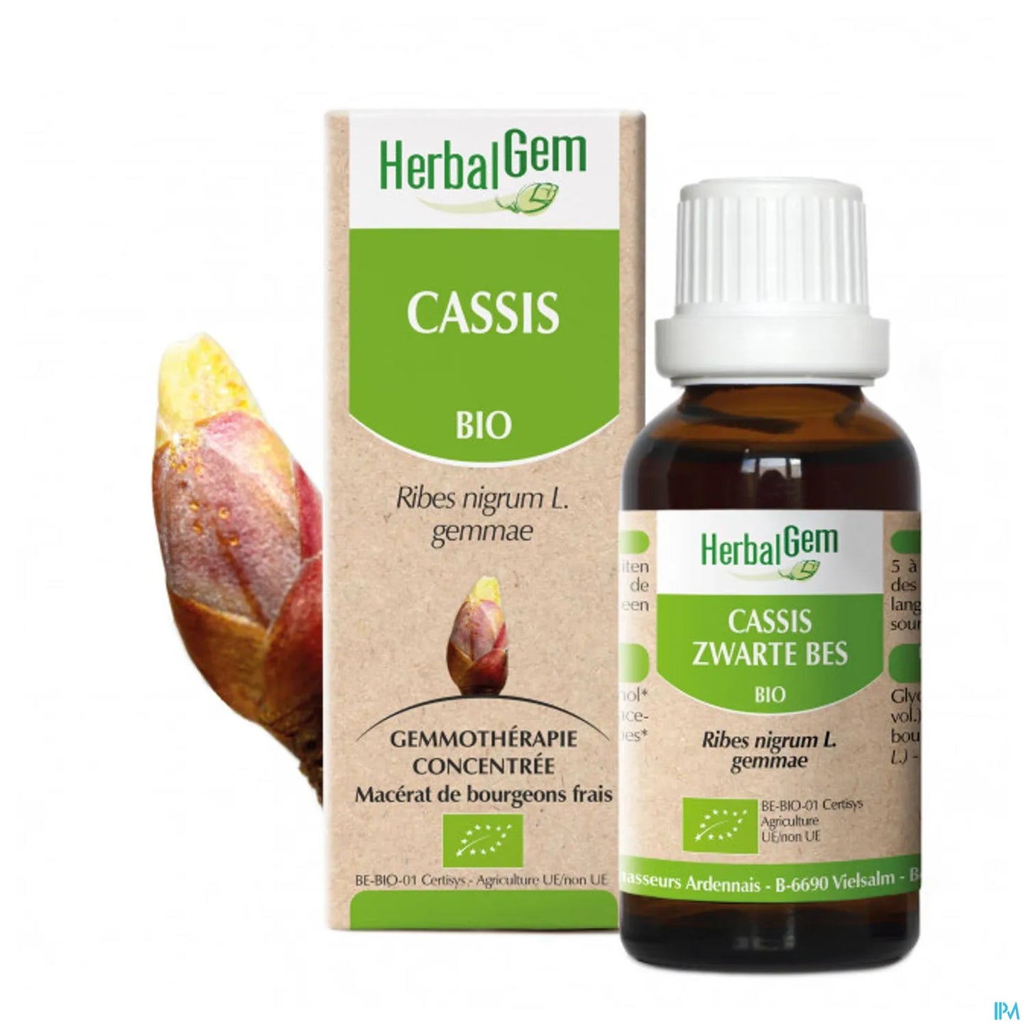 Macerato madre di ribes nero biologico 30 ml