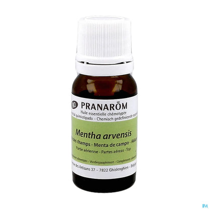 Huile Essentielle Menthe des Champs 10 mL