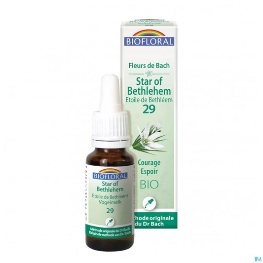 Étoile de Bethléem Fleur de Bach 20 mL