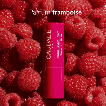 Baume Lèvres Teinté 4,5 g