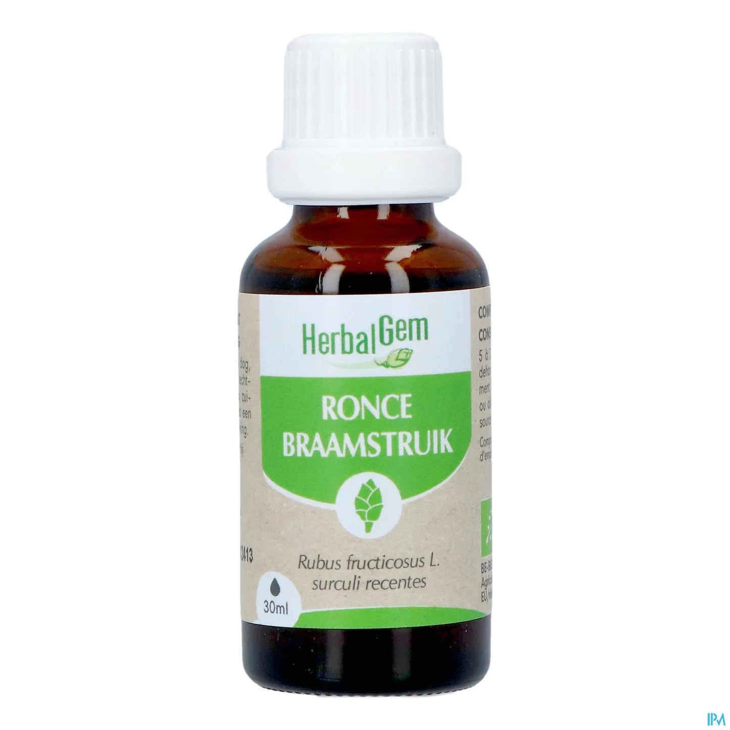 Macérât Mère Ronce Bio 30 mL