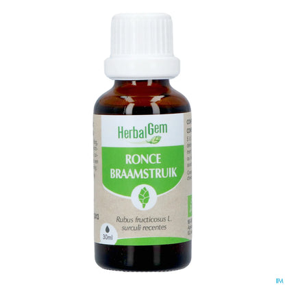 Macérât Mère Ronce Bio 30 mL