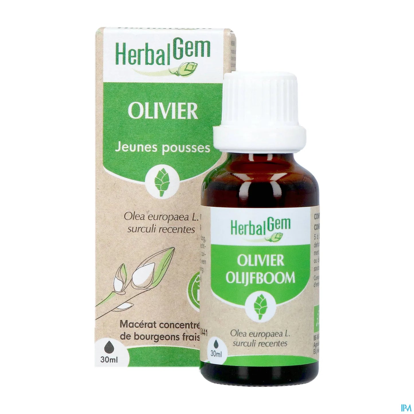 Macérât Bourgeons d'Olivier 30 mL