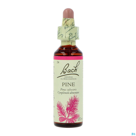 Pine - 20 ml