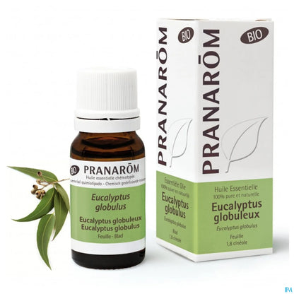 Olio essenziale di eucalipto globulus biologico 10 ml