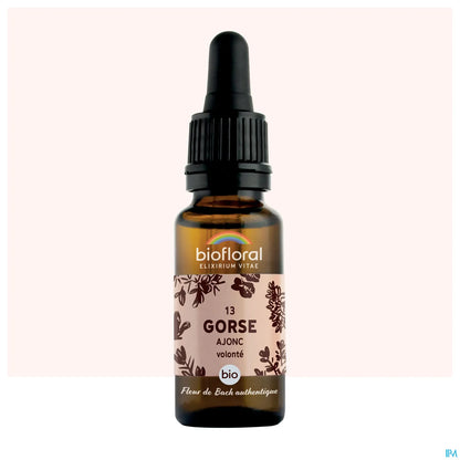 Ajonc Fleur de Bach 20 mL