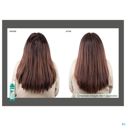 Shampoing Sec Teinté Ortie Et Vitamine E 150 ml