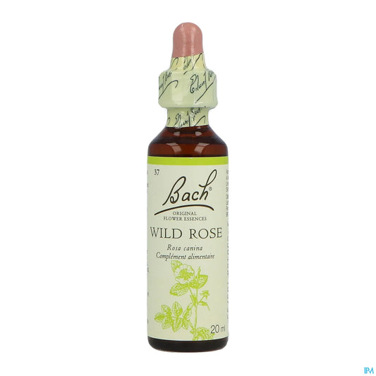 Wild Rose N°37 20ml