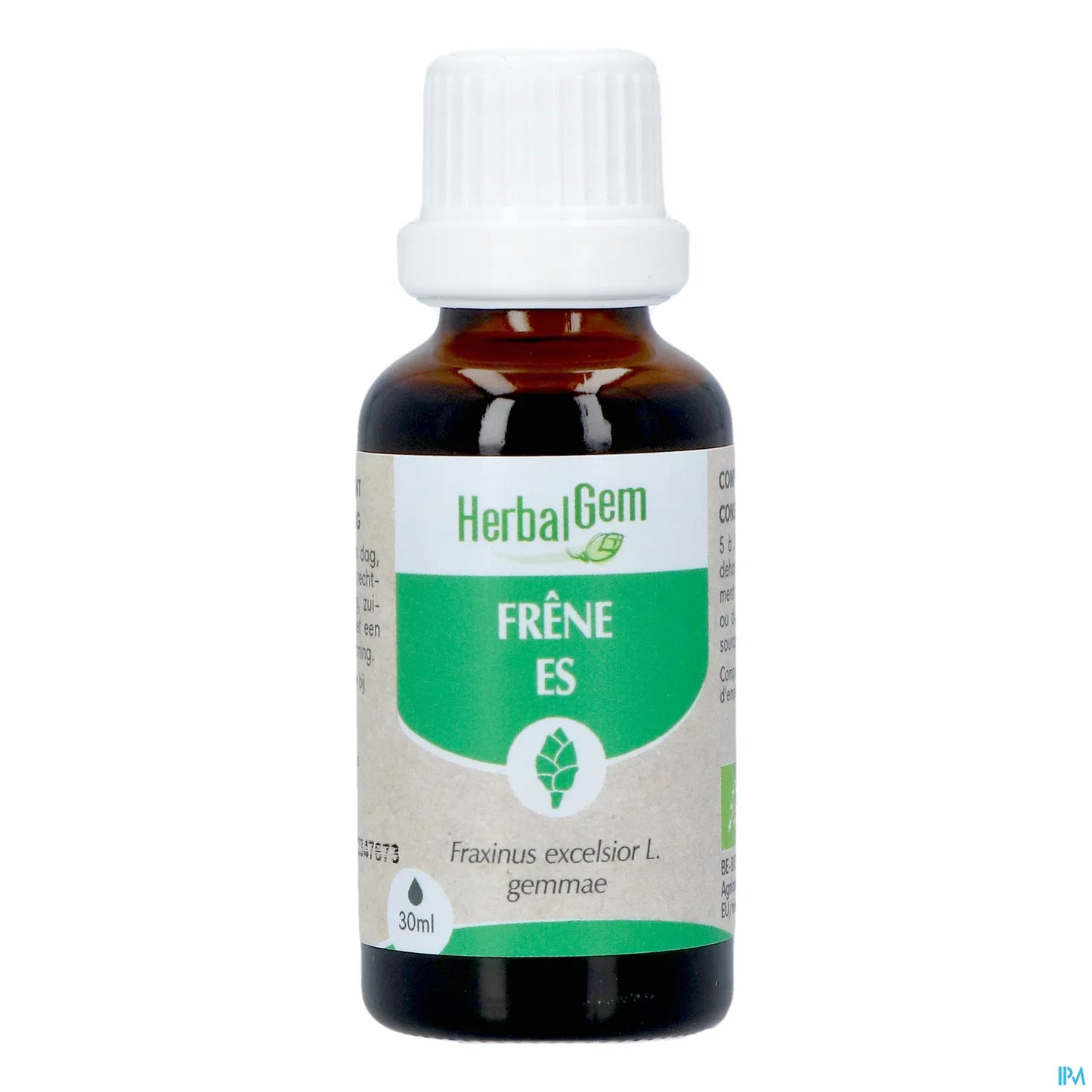 Macérat de Bourgeon de Frêne Bio 30 mL