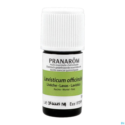 Huile Essentielle Livèche 5 mL
